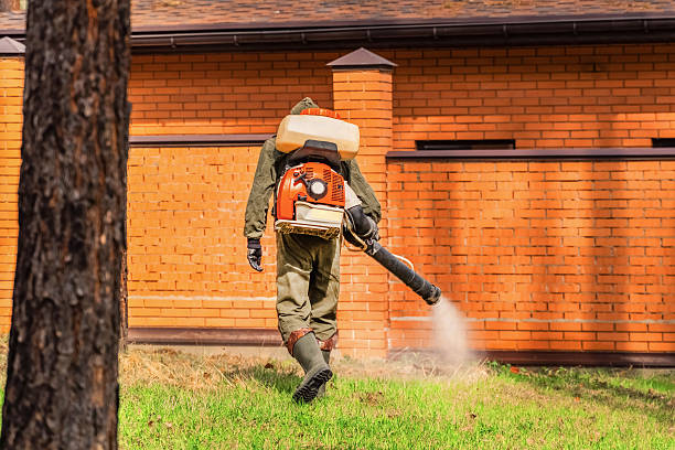 Trusted Termite Control service in Gold Canyon, AZ - Nex Pest Control